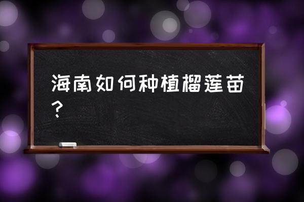 自己种植榴莲全过程 海南如何种植榴莲苗? 自己种植榴莲全过程 海南如何种植榴莲苗?