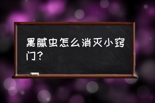 油虫怎么去除最好的方法 黑腻虫怎么消灭小窍门? 油虫怎么去除最好的方法 黑腻虫怎么消灭小窍门?