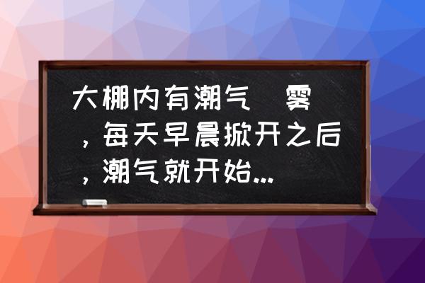 温室大棚湿度控制装置设置 大棚内有潮气(雾),每天早晨掀开之后,潮气就开始出现,有时只能看到两三米…这怎么能解决? 温室大棚湿度控制装置设置 大棚内有潮气(雾),每天早晨掀开之后,潮气就开始出现,有时只能看到两三米…这怎么能解决?