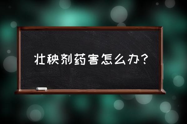 水稻受药害打什么药好 壮秧剂药害怎么办? 水稻受药害打什么药好 壮秧剂药害怎么办?