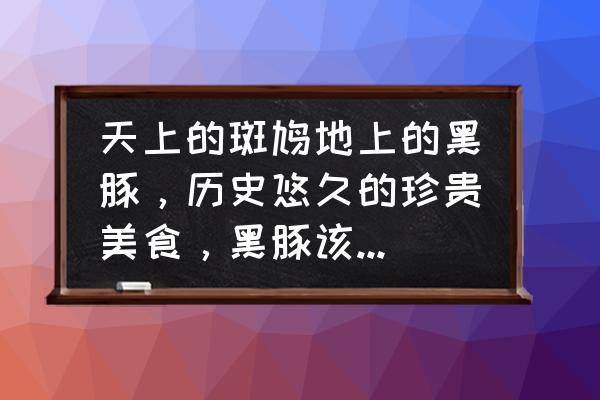 黑豚交易市场在哪里 天上的斑鸠地上的黑豚,历史悠久的珍贵美食,黑豚该如何人工饲养? 黑豚交易市场在哪里 天上的斑鸠地上的黑豚,历史悠久的珍贵美食,黑豚该如何人工饲养?
