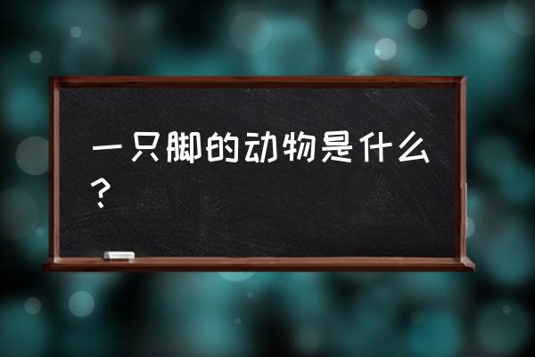 小朋友画千姿百态的蜗牛 一只脚的动物是什么? 小朋友画千姿百态的蜗牛 一只脚的动物是什么?