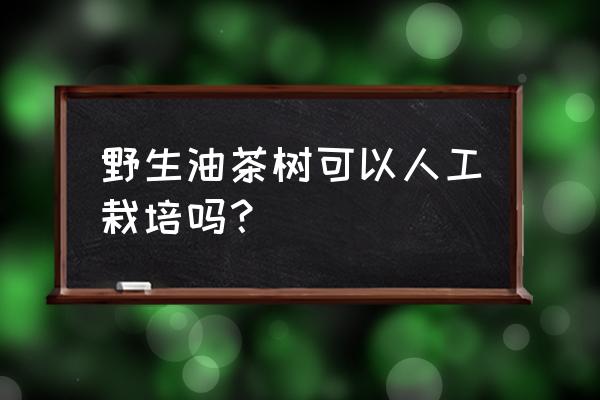 茶果怎样育苗 野生油茶树可以人工栽培吗? 茶果怎样育苗 野生油茶树可以人工栽培吗?