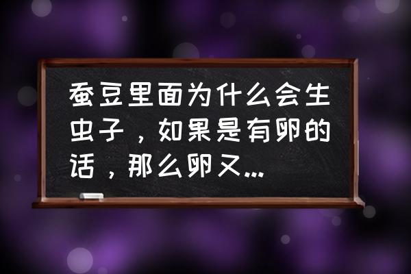 干蚕豆怎么存放不长虫 蚕豆里面为什么会生虫子,如果是有卵的话,那么卵又是怎么进去的呢? 干蚕豆怎么存放不长虫 蚕豆里面为什么会生虫子,如果是有卵的话,那么卵又是怎么进去的呢?