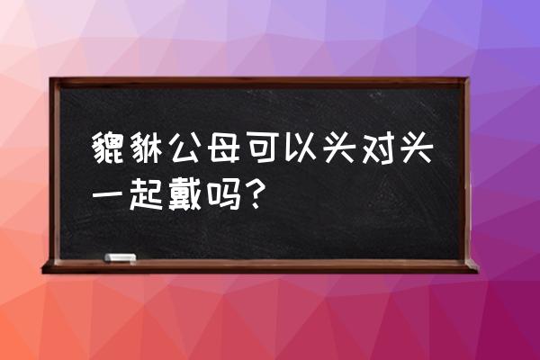 一对貔貅怎么佩戴好 貔貅公母可以头对头一起戴吗? 一对貔貅怎么佩戴好 貔貅公母可以头对头一起戴吗?