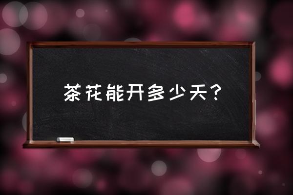 山茶花的种子几月份种最好 茶花能开多少天? 山茶花的种子几月份种最好 茶花能开多少天?