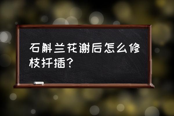 石斛几月扦插 石斛兰花谢后怎么修枝扦插? 石斛几月扦插 石斛兰花谢后怎么修枝扦插?