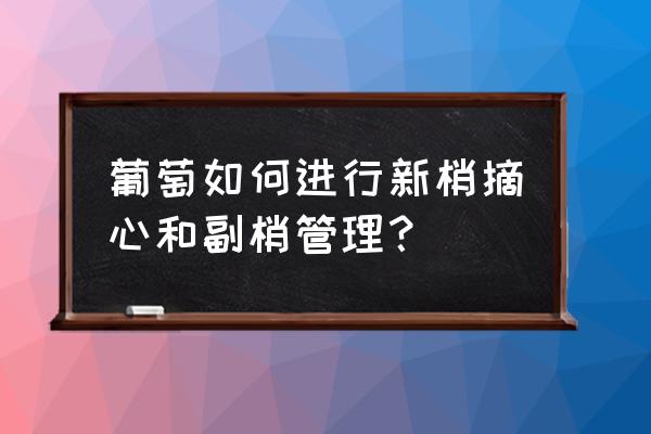 葡萄第二次膨果期管理 葡萄如何进行新梢摘心和副梢管理？