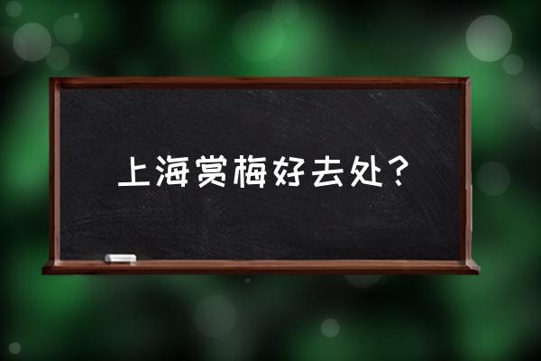 上海看樱花的最佳时间 上海赏梅好去处? 上海看樱花的最佳时间 上海赏梅好去处?