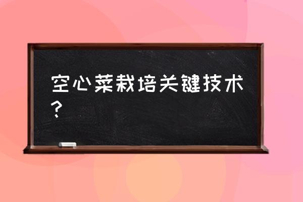 空心菜种植方法和技巧 空心菜栽培关键技术? 空心菜种植方法和技巧 空心菜栽培关键技术?