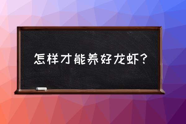 小龙虾怎么养殖才能养好 怎样才能养好龙虾? 小龙虾怎么养殖才能养好 怎样才能养好龙虾?