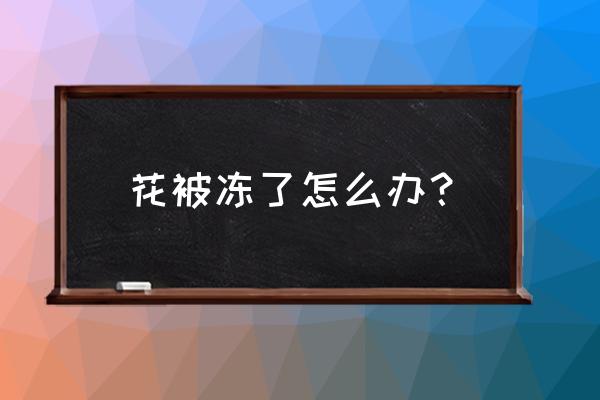 作物被冻害后怎么补救 花被冻了怎么办? 作物被冻害后怎么补救 花被冻了怎么办?