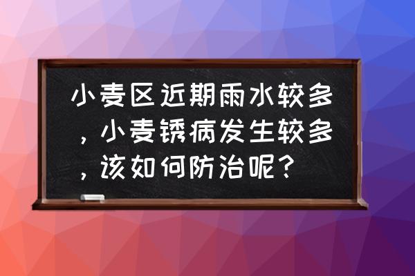 小麦后期怎么预防干热风 小麦区近期雨水较多,小麦锈病发生较多,该如何防治呢? 小麦后期怎么预防干热风 小麦区近期雨水较多,小麦锈病发生较多,该如何防治呢?