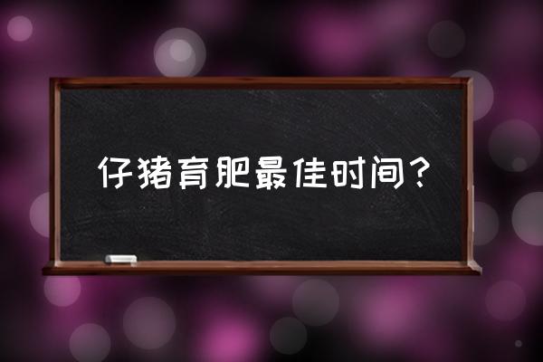 猪出栏前快速育肥方法 仔猪育肥最佳时间? 猪出栏前快速育肥方法 仔猪育肥最佳时间?
