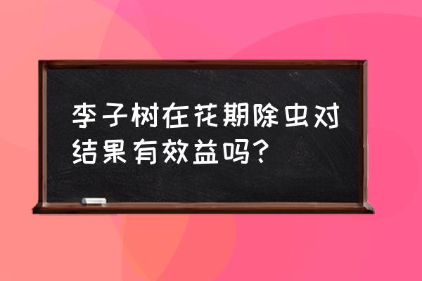 李子树生了钻心虫怎么治 李子树在花期除虫对结果有效益吗? 李子树生了钻心虫怎么治 李子树在花期除虫对结果有效益吗?