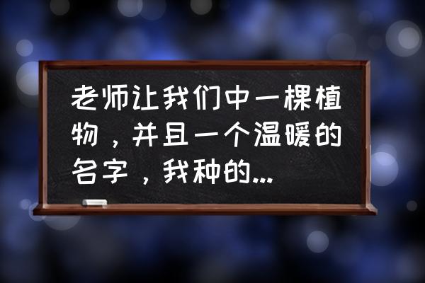 自制蒜苗盆栽 老师让我们中一棵植物,并且一个温暖的名字,我种的是蒜苗,大家帮忙取一个温暖的名字? 自制蒜苗盆栽 老师让我们中一棵植物,并且一个温暖的名字,我种的是蒜苗,大家帮忙取一个温暖的名字?