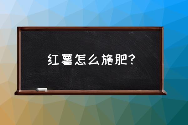 红薯施肥的技巧 红薯怎么施肥? 红薯施肥的技巧 红薯怎么施肥?