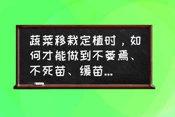 移栽的菜苗怎么管理 蔬菜移栽定植时,如何才能做到不萎焉、不死苗、缓苗快、苗势壮? 移栽的菜苗怎么管理 蔬菜移栽定植时,如何才能做到不萎焉、不死苗、缓苗快、苗势壮?