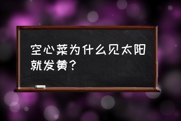 空心菜怎么凉拌不发黄 空心菜为什么见太阳就发黄? 空心菜怎么凉拌不发黄 空心菜为什么见太阳就发黄?