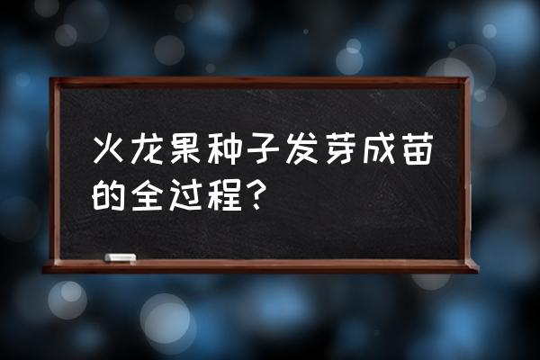 火龙果花如何采摘来吃 火龙果种子发芽成苗的全过程? 火龙果花如何采摘来吃 火龙果种子发芽成苗的全过程?
