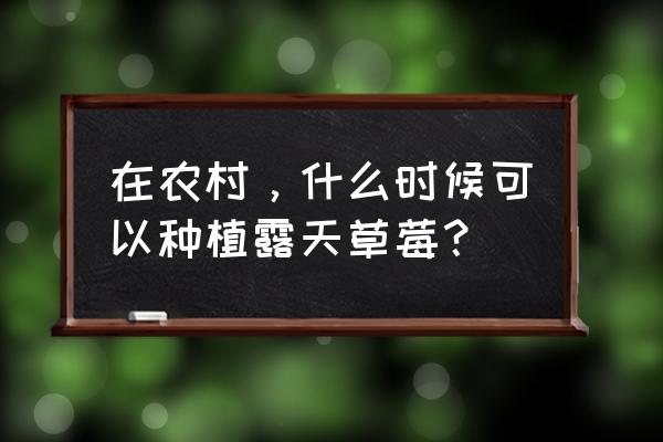 露天草莓种植方法全过程 在农村,什么时候可以种植露天草莓? 露天草莓种植方法全过程 在农村,什么时候可以种植露天草莓?