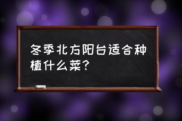 冬季阳台种什么菜最好 冬季北方阳台适合种植什么菜? 冬季阳台种什么菜最好 冬季北方阳台适合种植什么菜?