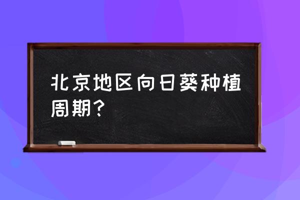 向日葵什么时间播种最好 北京地区向日葵种植周期? 向日葵什么时间播种最好 北京地区向日葵种植周期?