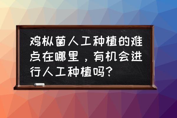 成都种植牙脱落有什么办法补救吗 鸡枞菌人工种植的难点在哪里,有机会进行人工种植吗? 成都种植牙脱落有什么办法补救吗 鸡枞菌人工种植的难点在哪里,有机会进行人工种植吗?