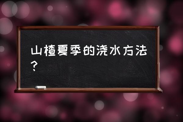 山楂的种植方法和技巧 山楂夏季的浇水方法? 山楂的种植方法和技巧 山楂夏季的浇水方法?