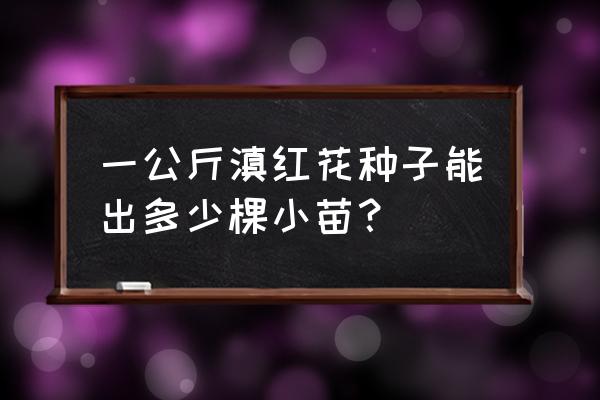 红花玉兰兰州可以种植吗 一公斤滇红花种子能出多少棵小苗? 红花玉兰兰州可以种植吗 一公斤滇红花种子能出多少棵小苗?