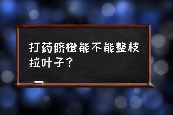 鬼针草的嫩叶能炒吃吗 打药脐橙能不能整枝拉叶子? 鬼针草的嫩叶能炒吃吗 打药脐橙能不能整枝拉叶子?