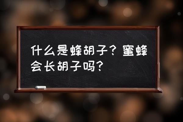 蜜蜂一般在分蜂时的征兆 什么是蜂胡子?蜜蜂会长胡子吗? 蜜蜂一般在分蜂时的征兆 什么是蜂胡子?蜜蜂会长胡子吗?