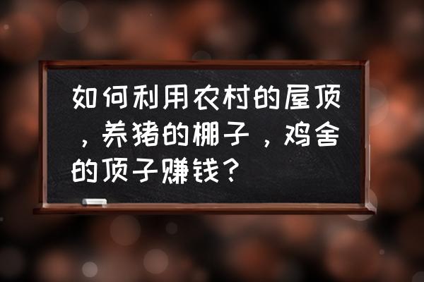怎样养猪最赚钱 如何利用农村的屋顶,养猪的棚子,鸡舍的顶子赚钱? 怎样养猪最赚钱 如何利用农村的屋顶,养猪的棚子,鸡舍的顶子赚钱?