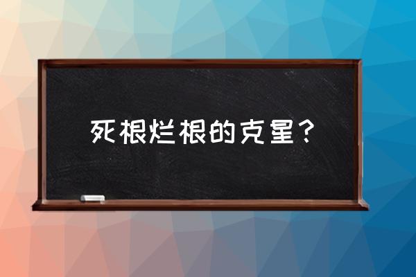 根腐烂根快速恢复方法 死根烂根的克星? 根腐烂根快速恢复方法 死根烂根的克星?