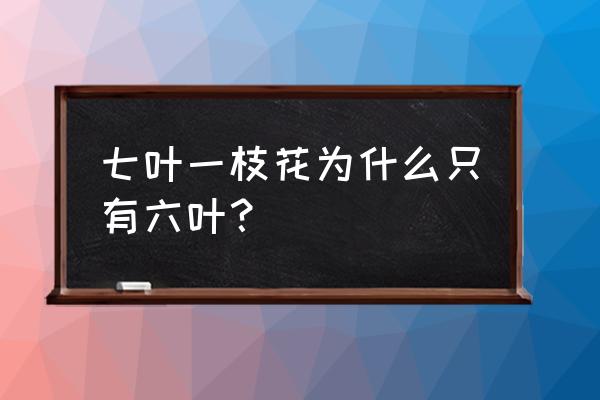 七叶一枝花图片和功效 七叶一枝花为什么只有六叶? 七叶一枝花图片和功效 七叶一枝花为什么只有六叶?
