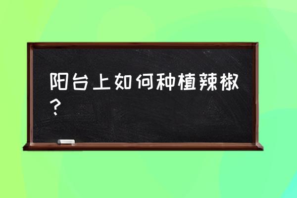 家庭种辣椒的方法和步骤 阳台上如何种植辣椒? 家庭种辣椒的方法和步骤 阳台上如何种植辣椒?