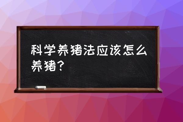 剑三长白矿石任务怎么做 科学养猪法应该怎么养猪? 剑三长白矿石任务怎么做 科学养猪法应该怎么养猪?