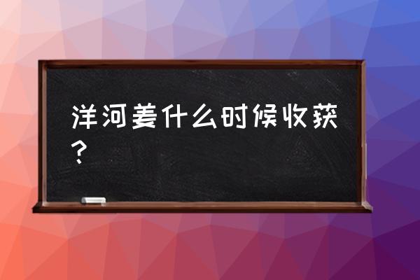 收获老姜的最佳时间 洋河姜什么时候收获? 收获老姜的最佳时间 洋河姜什么时候收获?