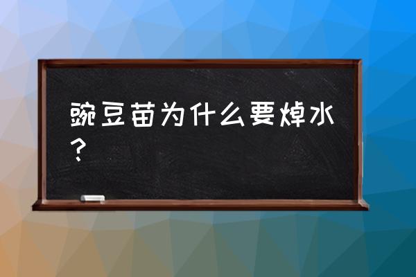 豌豆苗怎样种又粗又嫩 豌豆苗为什么要焯水? 豌豆苗怎样种又粗又嫩 豌豆苗为什么要焯水?