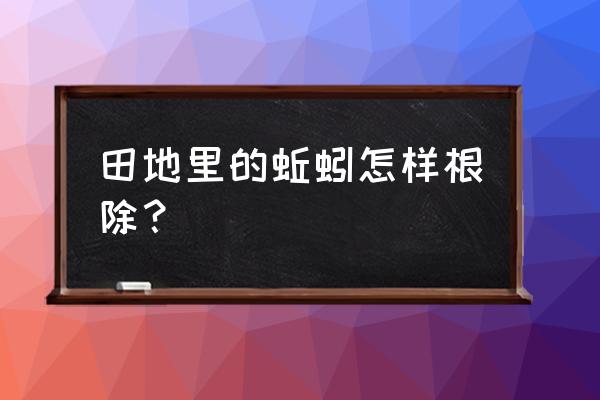 改良土壤方案需要解决的难题 田地里的蚯蚓怎样根除? 改良土壤方案需要解决的难题 田地里的蚯蚓怎样根除?