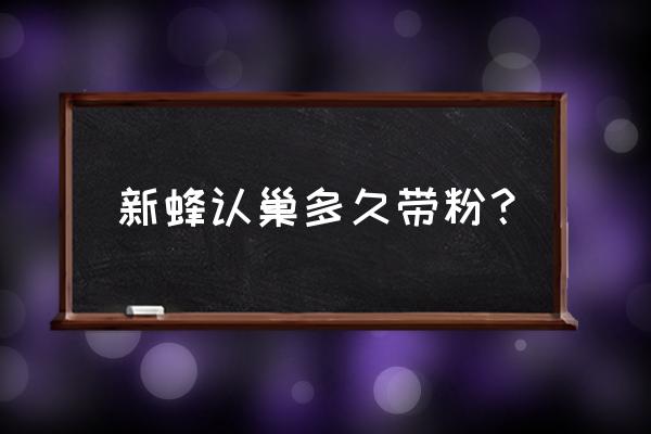 新蜂群多少时间稳定 新蜂认巢多久带粉? 新蜂群多少时间稳定 新蜂认巢多久带粉?