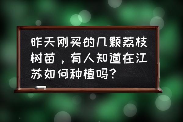 荔枝种植的正确方法 昨天刚买的几颗荔枝树苗,有人知道在江苏如何种植吗? 荔枝种植的正确方法 昨天刚买的几颗荔枝树苗,有人知道在江苏如何种植吗?