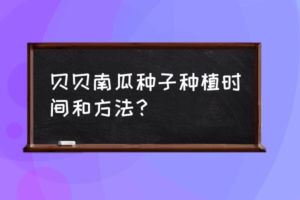 面瓜的种植育苗需要多少天 贝贝南瓜种子种植时间和方法? 面瓜的种植育苗需要多少天 贝贝南瓜种子种植时间和方法?