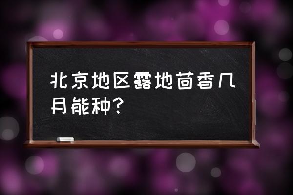 露地茴香怎样种才能粗壮 北京地区露地茴香几月能种? 露地茴香怎样种才能粗壮 北京地区露地茴香几月能种?