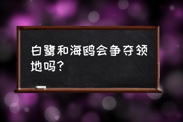城市里的海鸥夜晚栖息的地方 白鹭和海鸥会争夺领地吗? 城市里的海鸥夜晚栖息的地方 白鹭和海鸥会争夺领地吗?