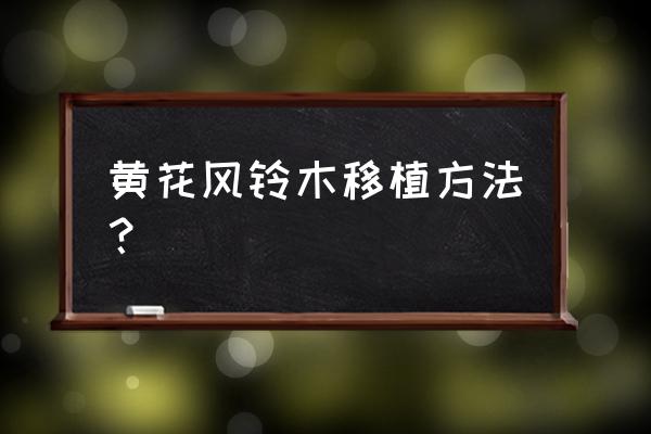 黄花风铃树适合什么地方种 黄花风铃木移植方法? 黄花风铃树适合什么地方种 黄花风铃木移植方法?