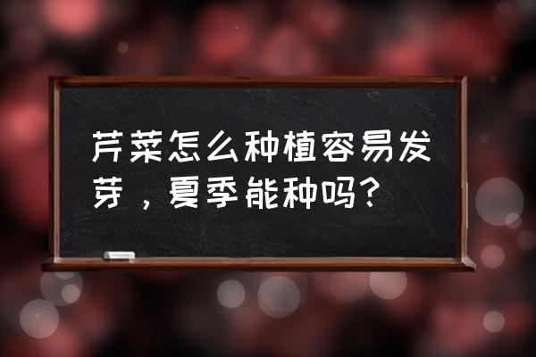 芹菜几月份种最好 芹菜怎么种植容易发芽,夏季能种吗? 芹菜几月份种最好 芹菜怎么种植容易发芽,夏季能种吗?