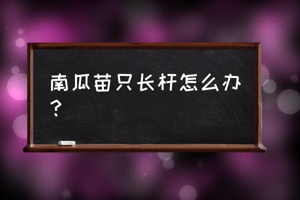 苦瓜最省力搭架子的方法 南瓜苗只长杆怎么办? 苦瓜最省力搭架子的方法 南瓜苗只长杆怎么办?