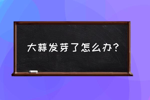 大蒜发芽等于省钱不要扔教你一招 大蒜发芽了怎么办? 大蒜发芽等于省钱不要扔教你一招 大蒜发芽了怎么办?