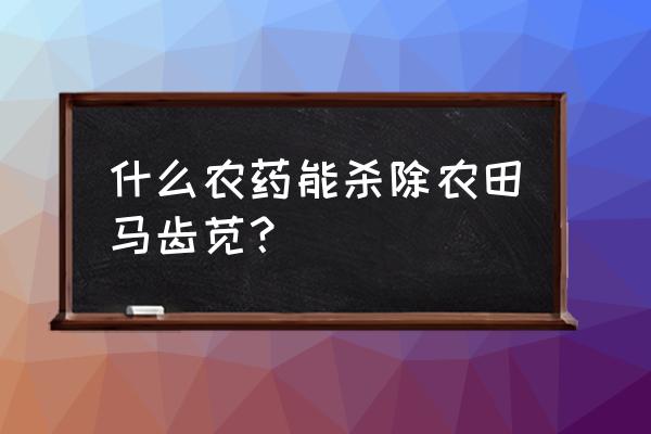 喷雾器最远的喷头 什么农药能杀除农田马齿苋? 喷雾器最远的喷头 什么农药能杀除农田马齿苋?